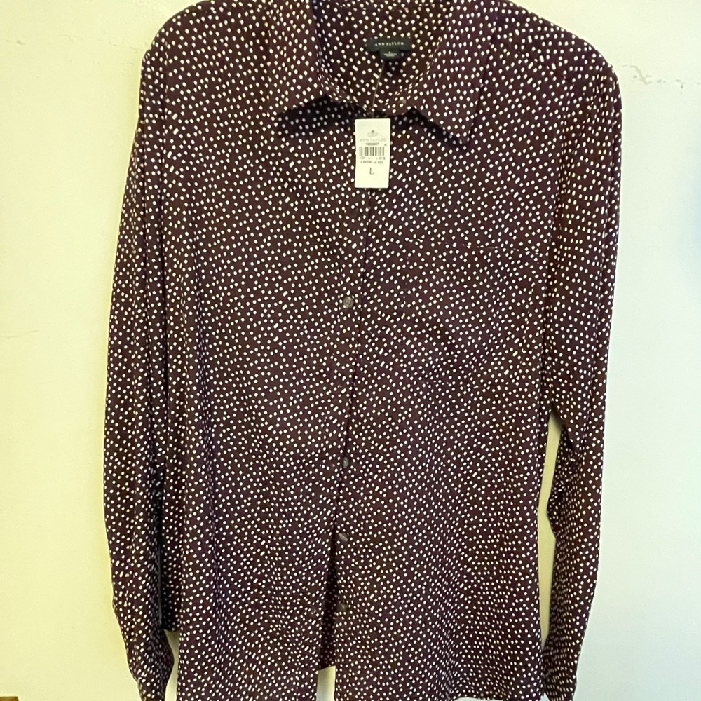 Ann Taylor - silk button down 🤎